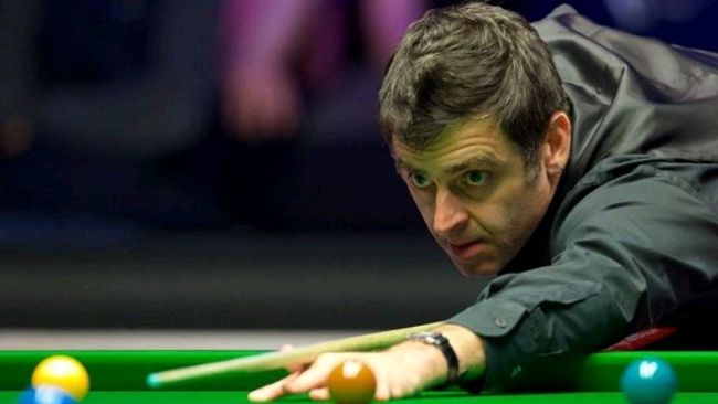 新的球员 新的球员